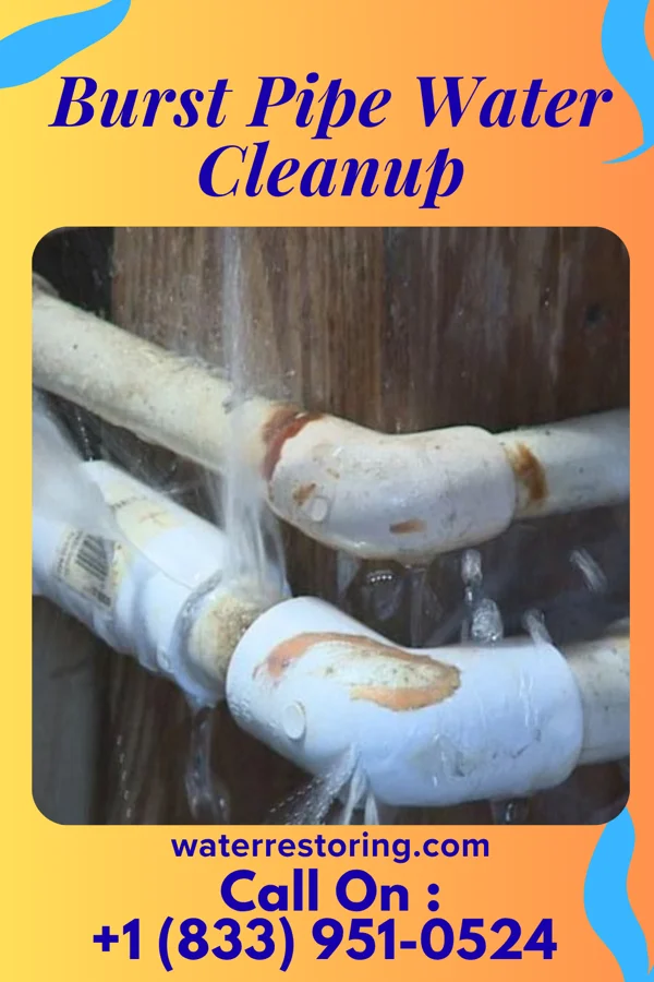 Burst Pipe Water Cleanup in Fayetteville, GA