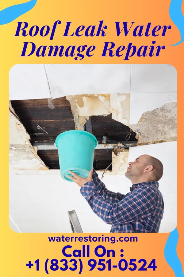 Roof Leak Water Damage Repair in Fayetteville, GA