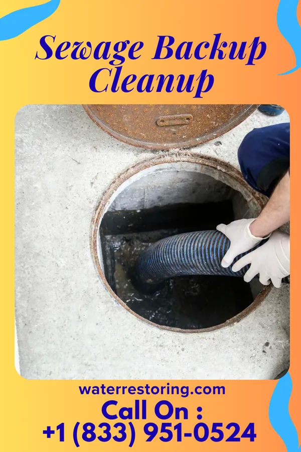 Sewage Backup Cleanup in Fayetteville, GA