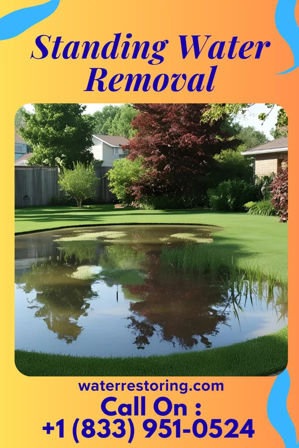 Standing Water Removal in Fayetteville, GA